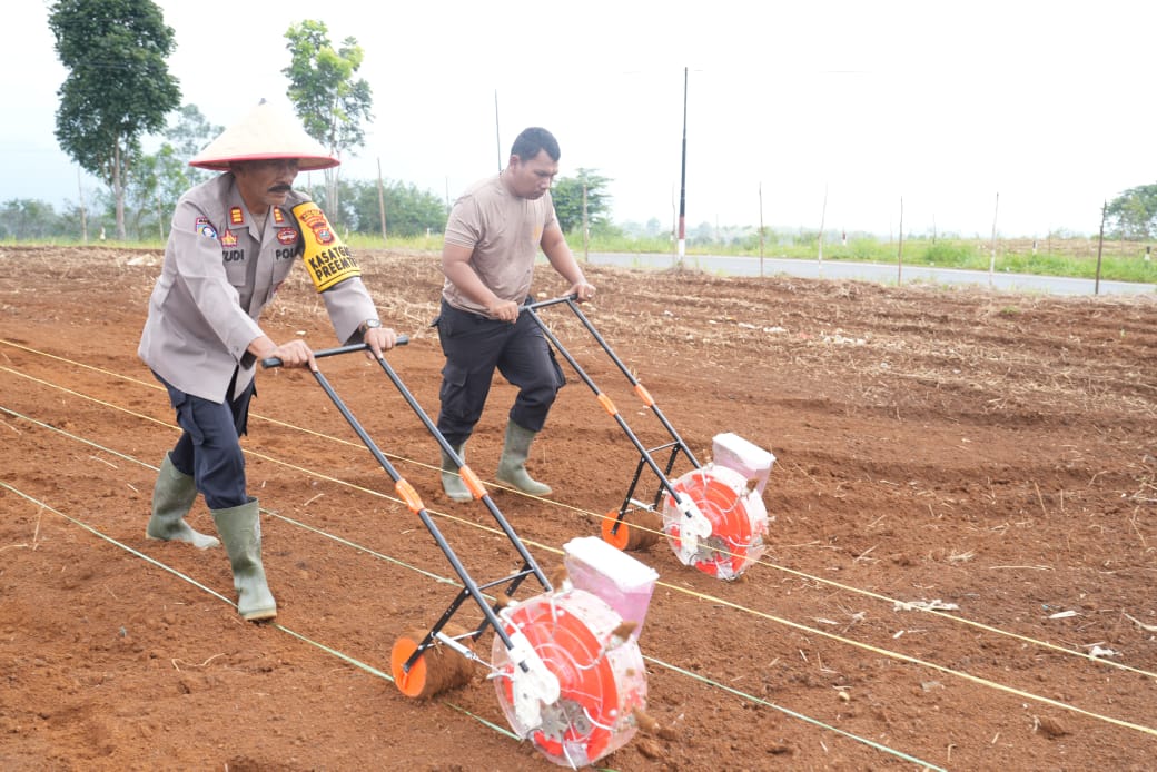 Forkopimda Tapsel Tanam Pohon Durian Di Taman Kantor Bupati