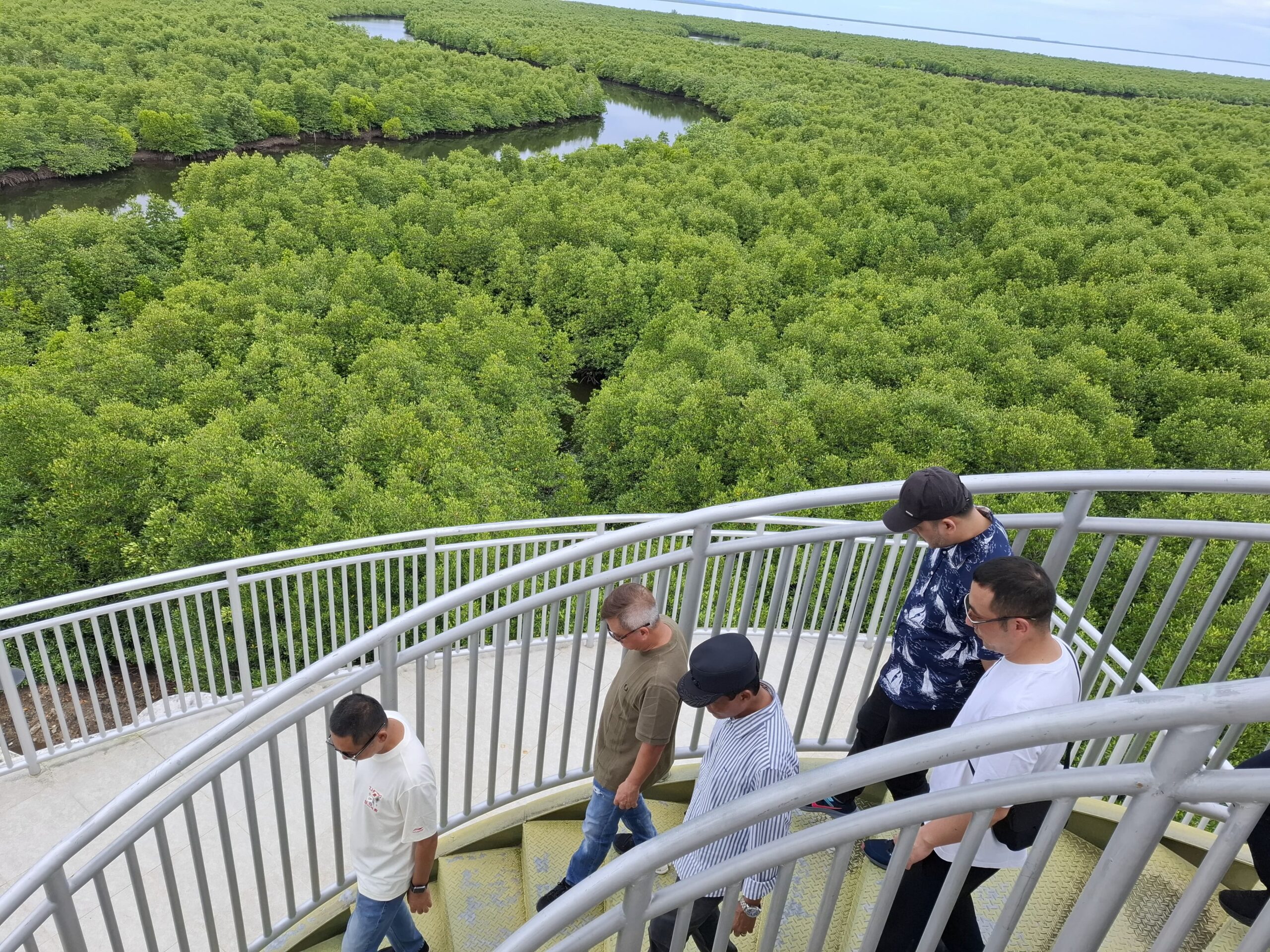 Pj Wali Kota Ajak Warga Jaga Kelestarian Hutan Mangrove Langsa