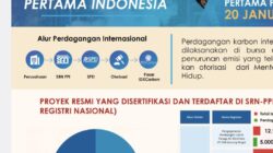 Cegah Perubahan Iklim, Indonesia Mulai Jualan Karbon