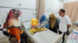 Pemprov Sumut Pastikan Pengobatan Gratis Untuk NN, Korban Penganiayaan di Nisel