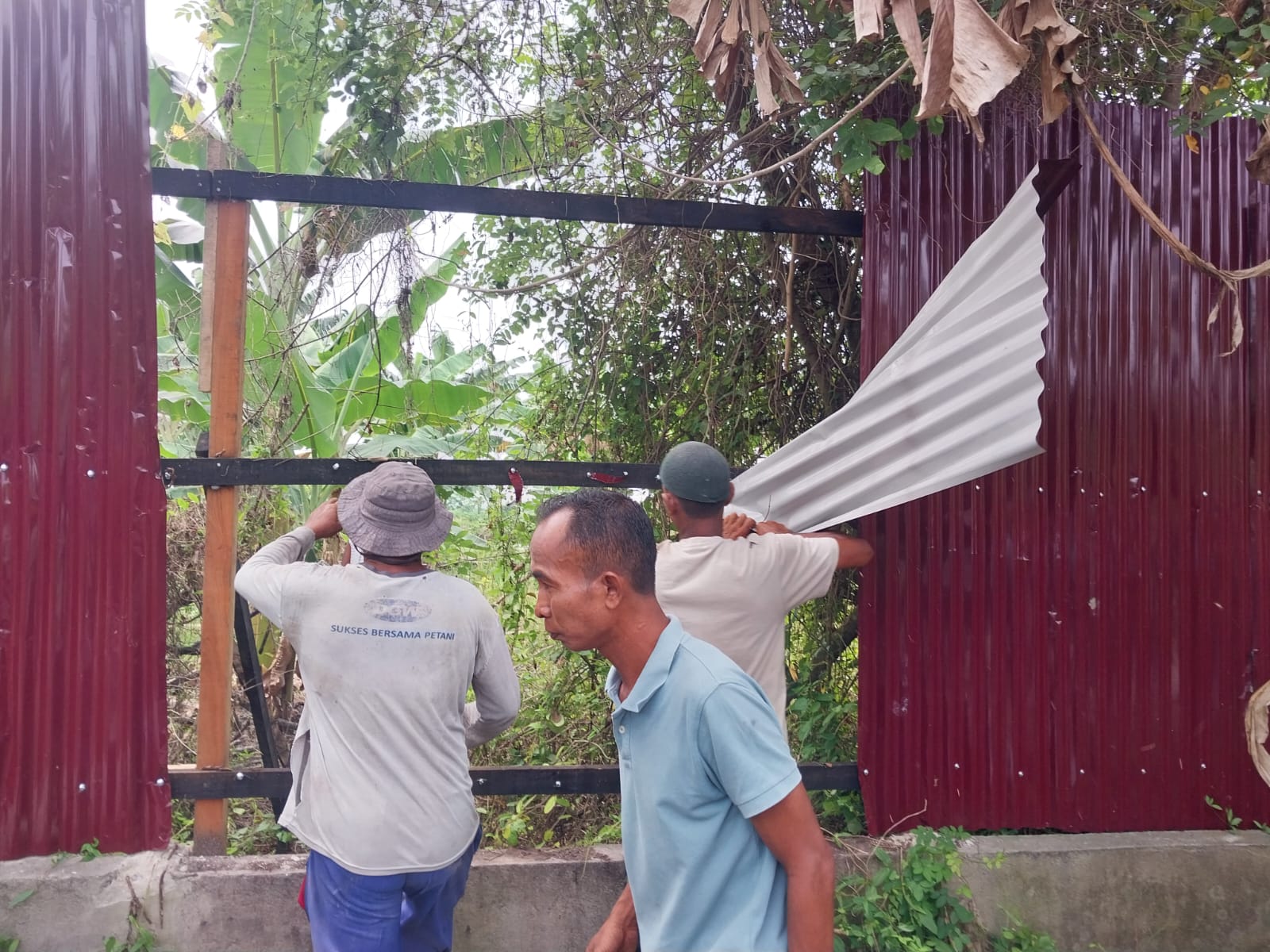 Kadis LHK Sumut Pimpin Warga Bongkar Pagar yang Berdiri Di Hutan Lindung Pantai Labu