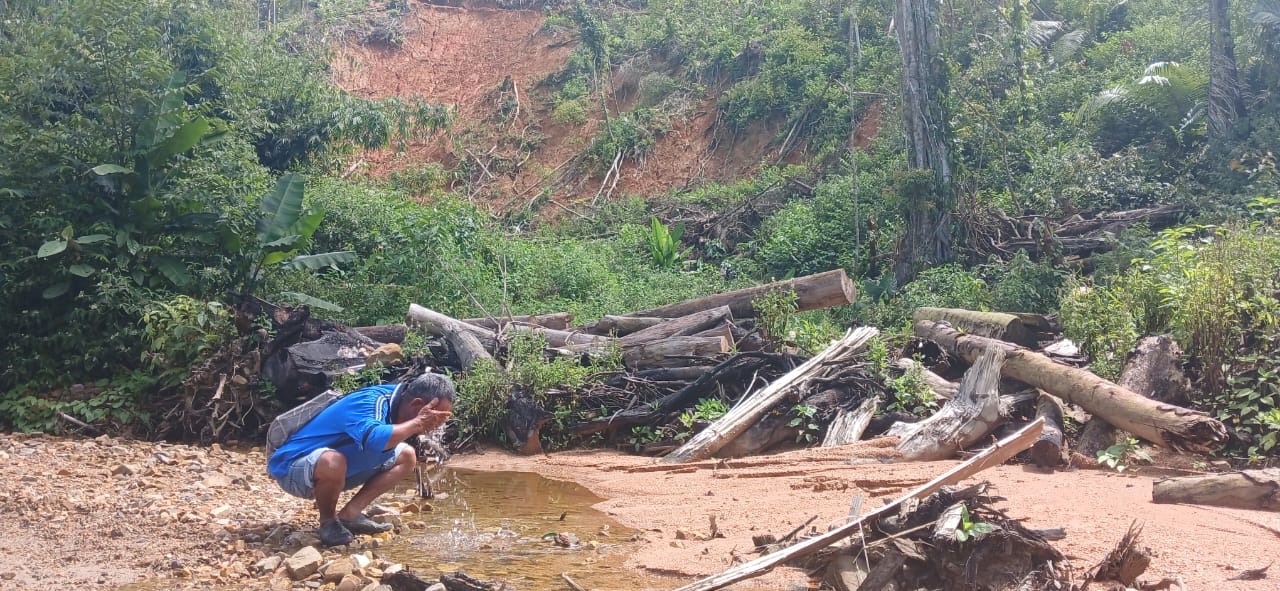 Hutan Di Humbahas Dibabat, Pemanfaat Air Menjerit