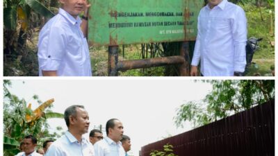 Ketua DPRD Minta APH Usut Mafia Tanah Di Balik Pemagaran Seng 48 Hektare Kawasan Hutan Mangrove