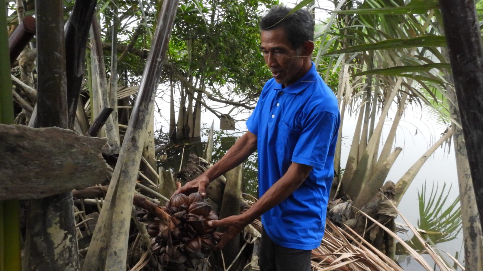 Berhenti Jadi Nelayan, Sakiman Tekuni Produksi Gula Merah dari Pohon Nipah