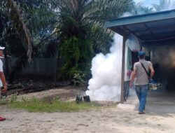 Empat Kasus DBD, Langkah Cepat Dinkes Fogging Di Singkil Utara