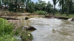 Beberapa Kali Diperbaiki Dek Saluran Irigasi Balakka Sitokkon Kembali Jebol