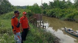 Soal Kemunculan Buaya, BPBD Tingkatkan Pengawasan