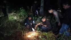 Pencari Kayu Temukan Kerangka Manusia Di Kebun Kelapa