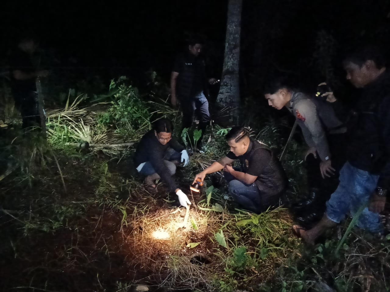 Pencari Kayu Temukan Kerangka Manusia Di Kebun Kelapa