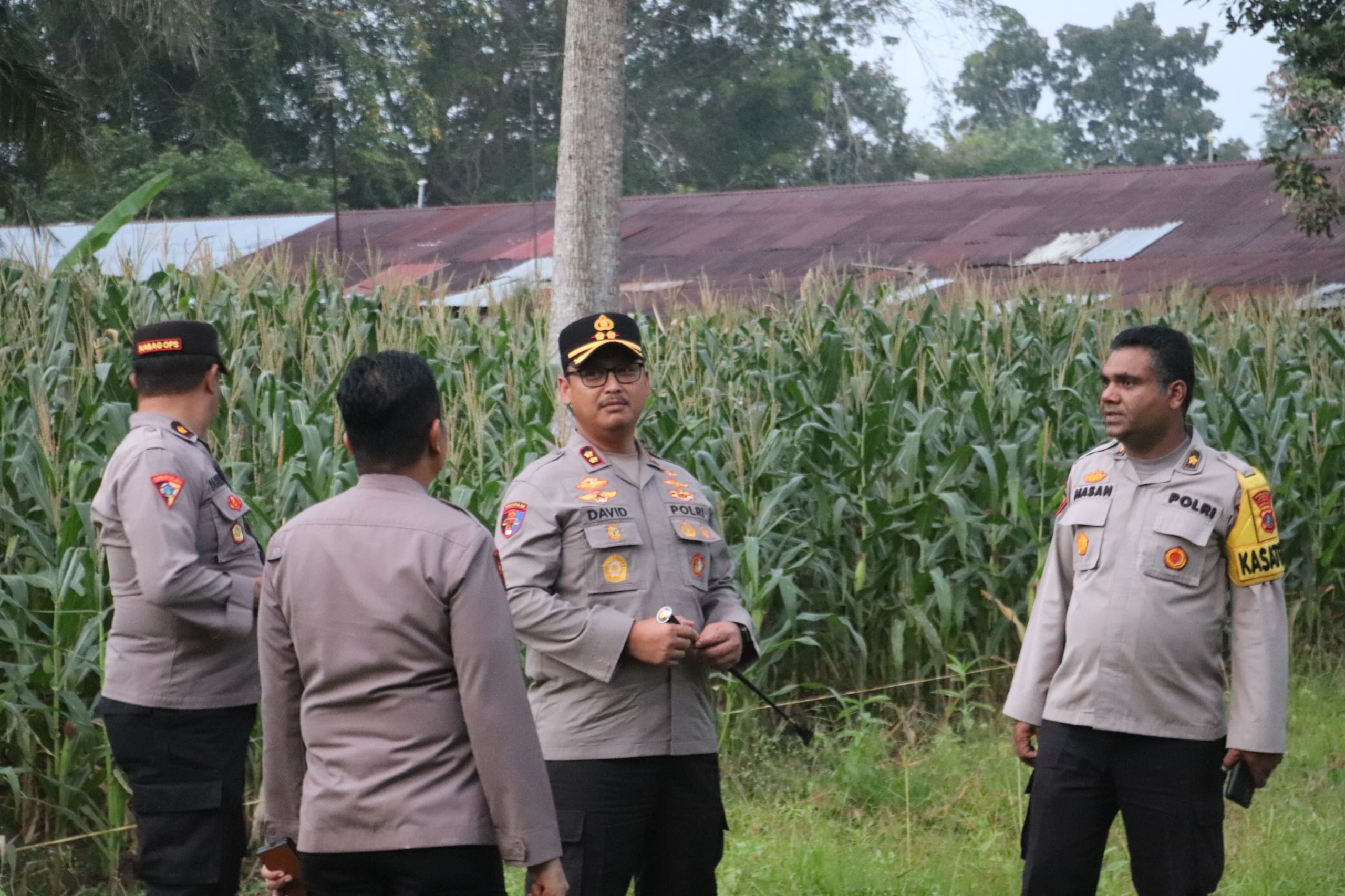 Dukung Program Asta Cita Prabowo,  Kapolres Langkat Tinjau Lahan Jagung Asrama Polres