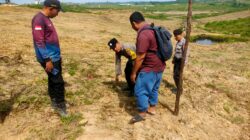 Kapolsek P. Brandan Tinjau Perkembangan Tanaman Jagung