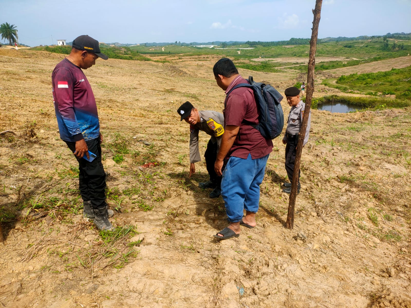 Kapolsek P. Brandan Tinjau Perkembangan Tanaman Jagung