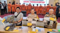 Kapolres Padangsidimpuan AKBP Wira Prayatna gelar hasil tangkapan kasus narkoba selama Januari sampai medio Februarai 2025. (Waspada/Sukri Falah Harahap)