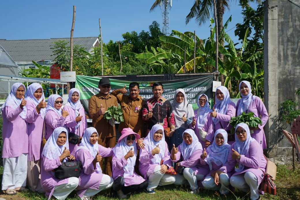 Ketua Komisi IV DPRK Banda Aceh Farid Nyak Umar menghadiri panen sayur mayur dari Komunitas Wanita Tani di Gampong Lampulo, Kecamatan Kuta Alam, Banda Aceh, Minggu (16/02/25).(Waspada/T.Mansursyah).