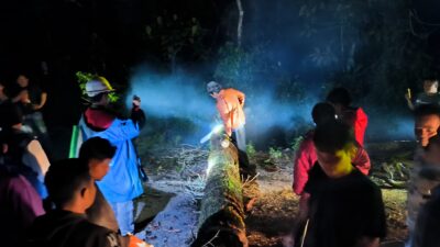 Pohon Tumbang, TPL Bantu Atasi Kemacatan Lalulintas