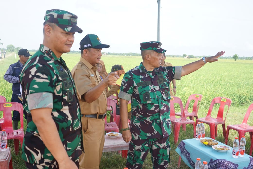 Inspektur Kodam Iskandar Muda Brigjen TNI Yudi Yulistyanto, M.A di dampingi Dandim 0117/Aceh Tamiang, Letkol Inf Andi Ariyanto,saat ,meninjau lokasi optimalisasi lahan dan serapan gabah di Kampung Cinta Raja, Kecamatan Bendahara,Selasa (18/2). (Waspada/Yusri).