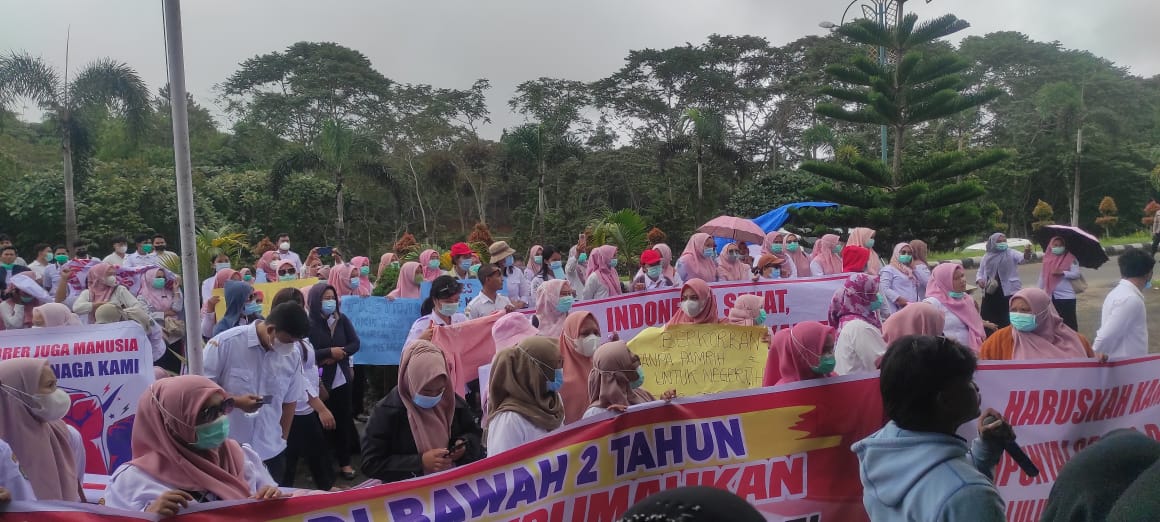 Honorer Tapsel Demo Tolak Dirumahkan, Kecam Dolly Pasaribu