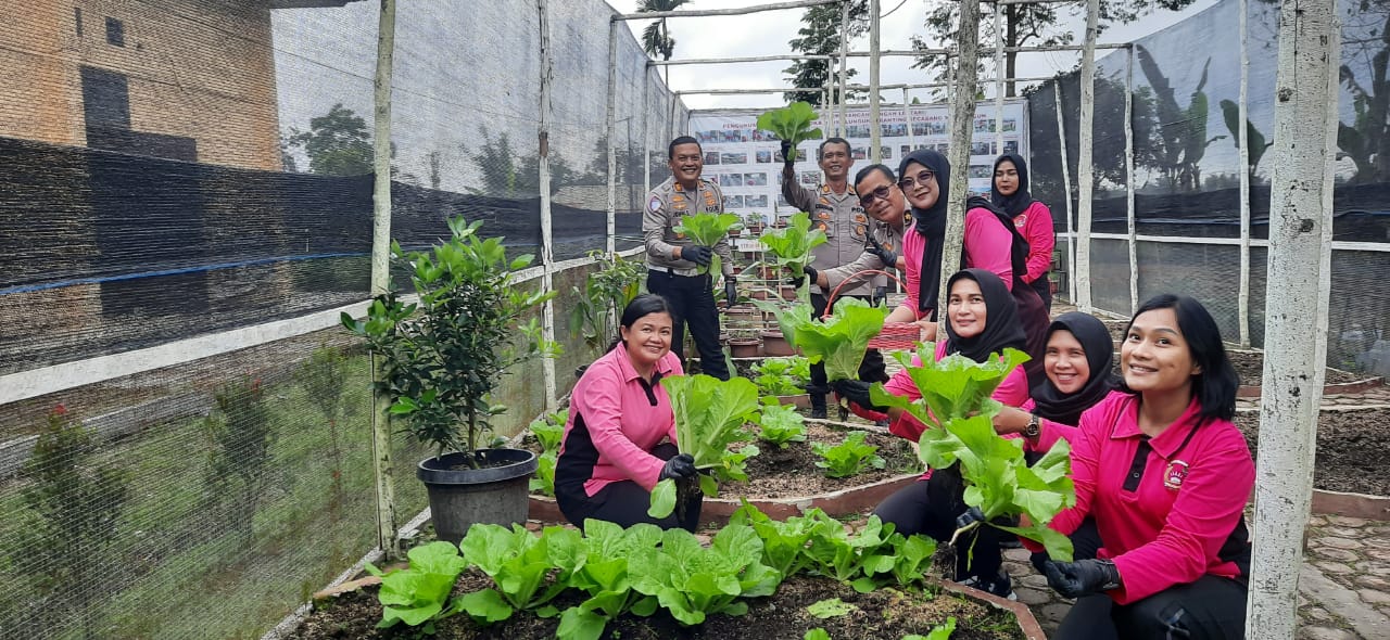 Bhayangkari Cabang beserta PJU Polres Simalungun saat gelar kegiatan launching Program Penguatan Pekarangan Pangan Lestari (P2L) di Mapolres Simalungun, di Pamatangraya, Senin (24/2).(Waspada/ist).