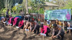 Tampak dalam gambar jajaran Polres Sabang dan ibu-ibu Bhayangkari menanam berbagai jenis sayuran untuk mendukung program perkarangan pangan lestari untuk mrndukung ketahanan pangan di Sabang. (Waspada/ist)