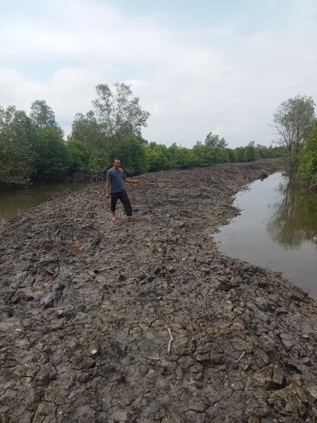 WAKIL Ketua Kelompok Nelayan Berkah memperlihatkan kawasan hutan telah dibendung dan paluh sebagai askes nelayan ditutup. Waspada/Asrirrais