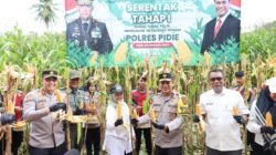 Wakapolda Aceh Panen 3,1 Ton Jagung Di Pidie