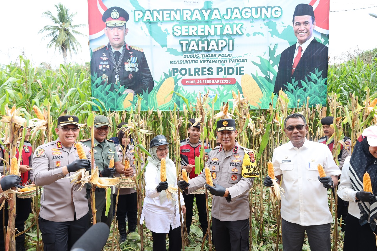 Wakapolda Aceh Panen 3,1 Ton Jagung Di Pidie