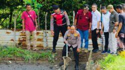 Kapolresta Banda Aceh, Kombes Pol Fahmi Irwan Ramli saat memanen ikan du kolam budidaya ikan binaan Polsek Kita Alam di kawasan Lampulo. (Waspada/Zafrullah)