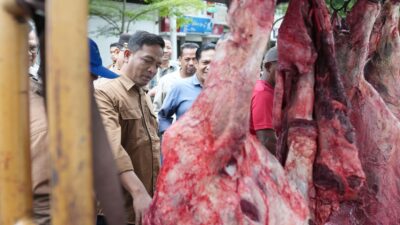 Megang Pertama Di Sabang Harga Daging Kerbau Capai Rp200 Ribu Per Kilo