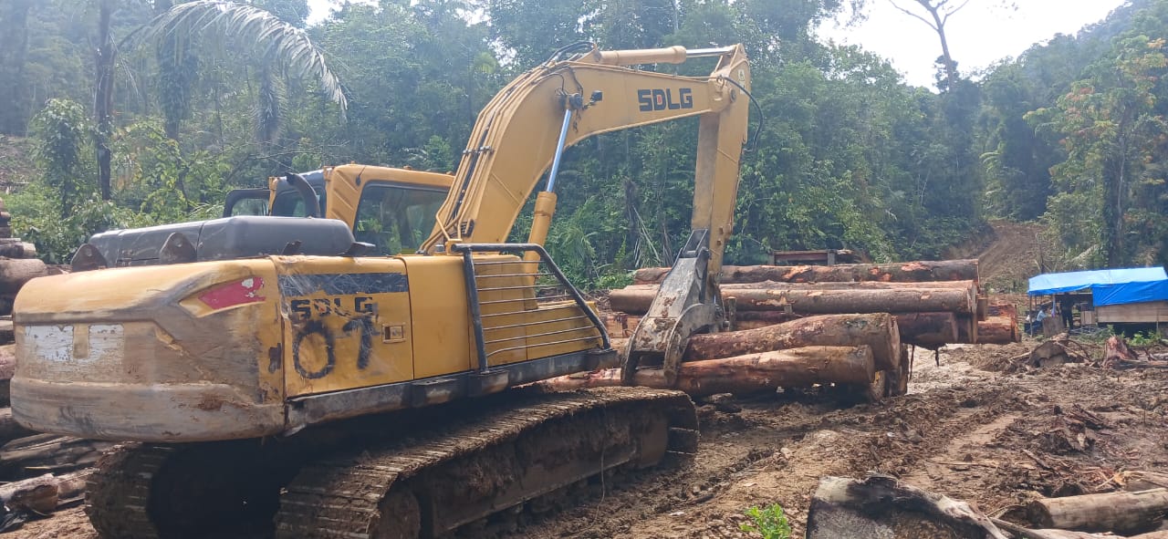 Hutan Di Humbahas Dibabat, Pemanfaat Air Menjerit