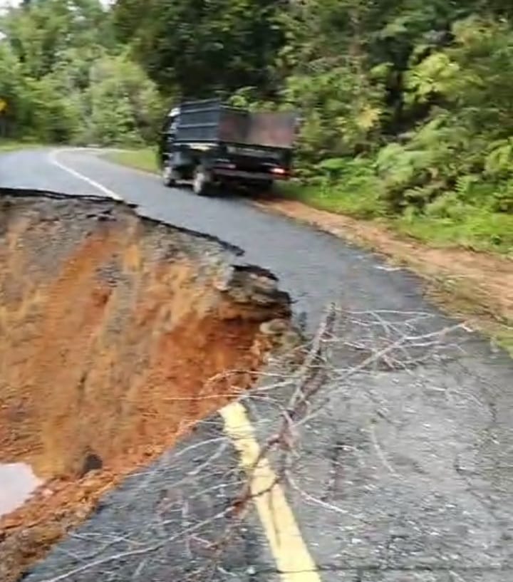 Banjir Nagan Raya, Ratusan Bibit Padi Rusak