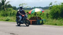 Pedagang Buah Di Pidie Tempati Bahu Jalan Negara, Bahayakan Pengendara