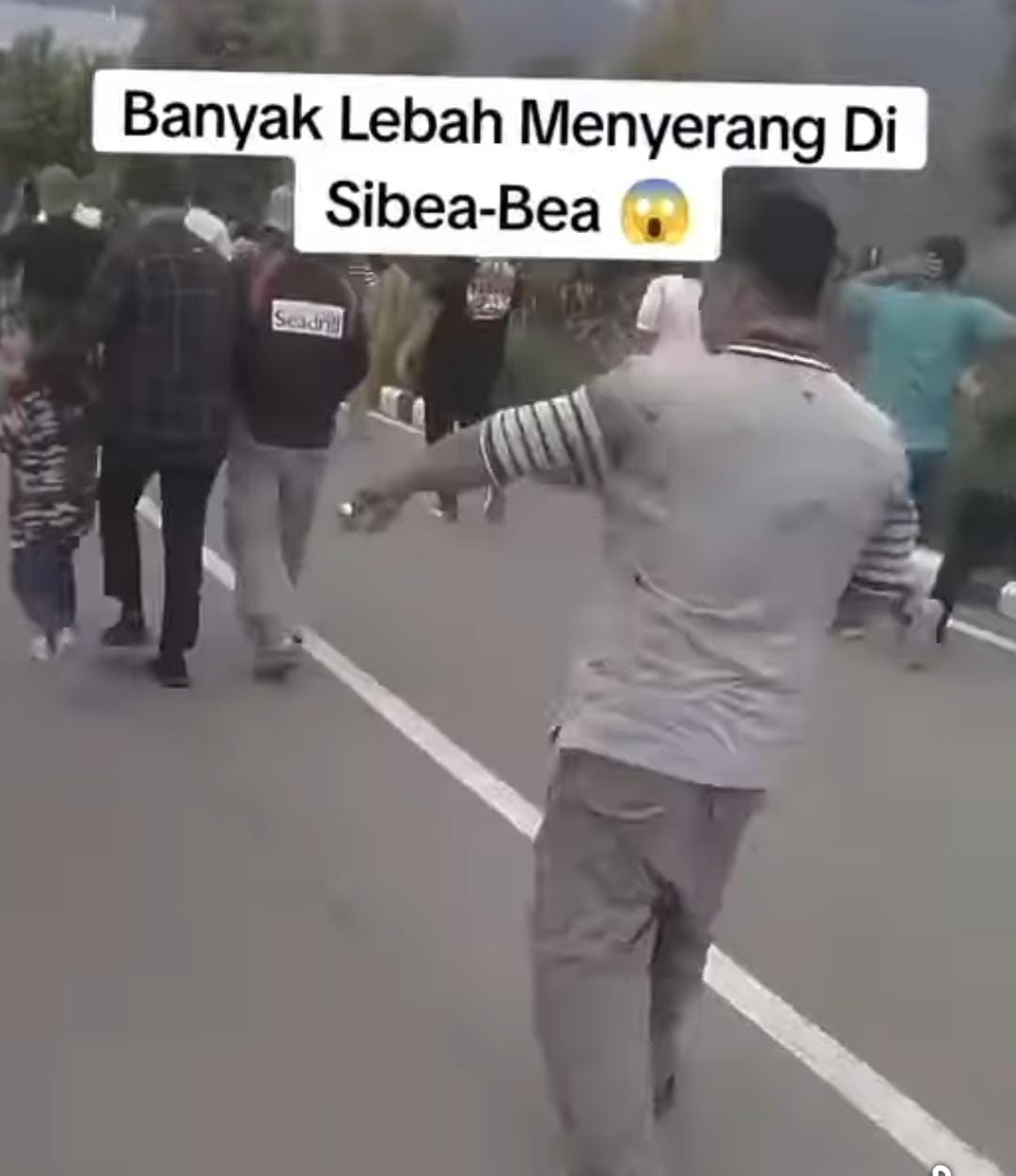 Tangkap layar wisata diserang lebah di Wisata Sibea-bea. Waspada/Ist.