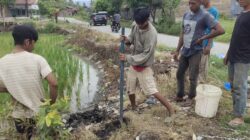 Sejumlah pekerja sedang melakukan penggalian dan pemasangan tiang kabel Telkom. Waspada/Ist