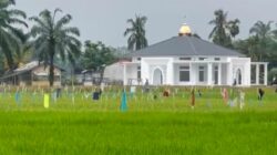 Masjid Baitul Jannah yang berdiri megah di tengah hamparan padi warga di Desa Merbau Dua, Kecamatan Birem Bayeun, Kabupaten Aceh Timur, Jumat (7/3). Waspada/dede