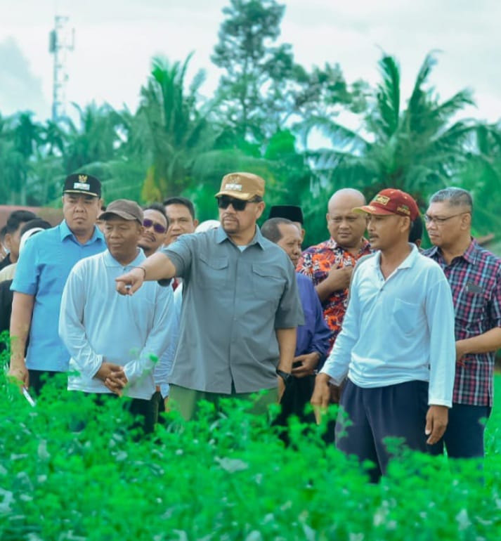 BUPATI Batubara  H.Baharuddin Siagian, SH, M.Si dan Wabup Syafrizal, SE, M.Si pada sosialisasi dengan petani cabai di Desa Lubuk Cuik, Kecamatan Limapuluh. Waspada/Ist