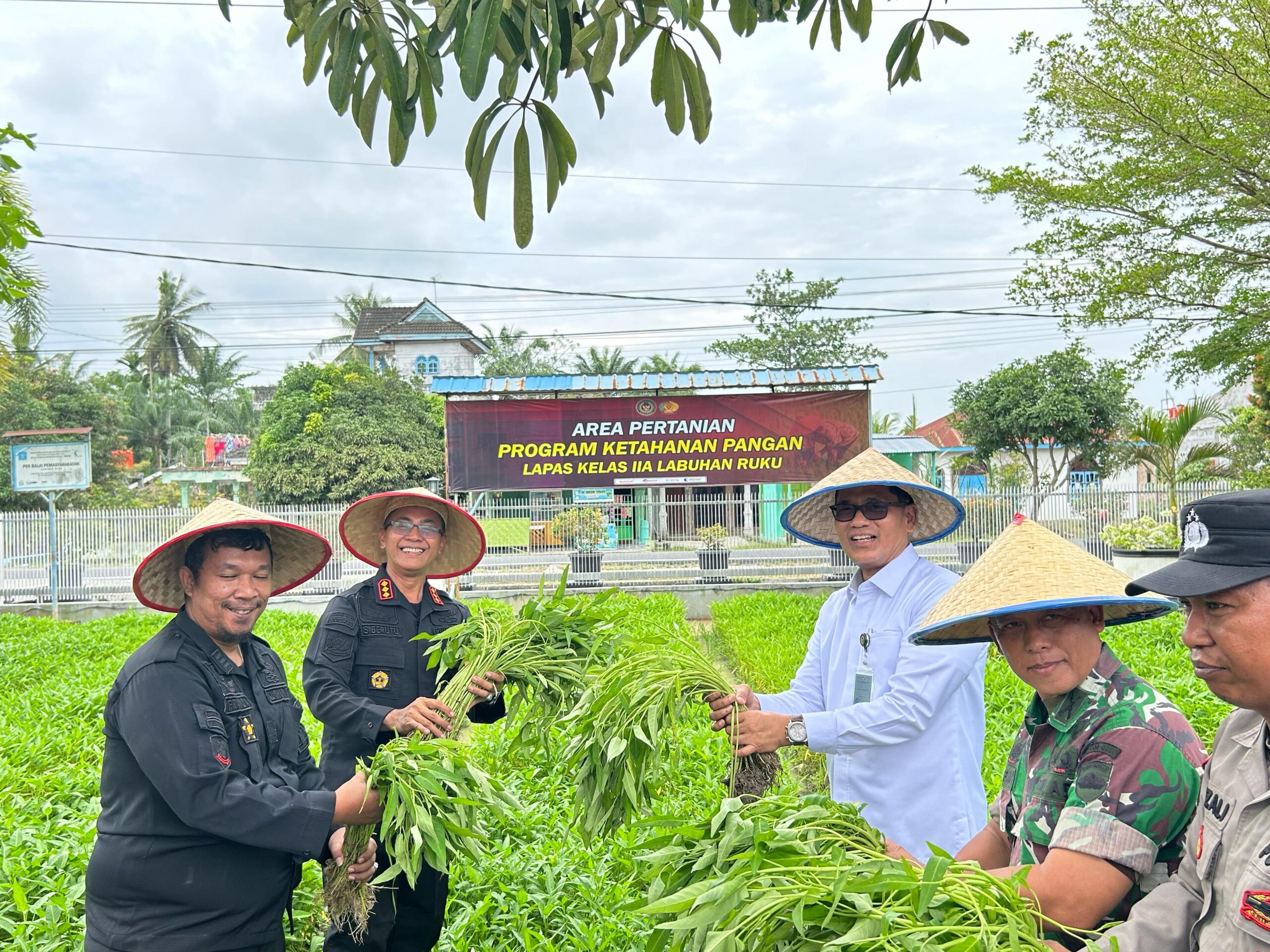 STAFSUS Kementerian Imipas Ir. Abdullah Rasyid, M.E saat kunker ke Lapas Kelas IIA Labuhanruku, sekaligus melakukan panen raya bersama.Waspada/Ist