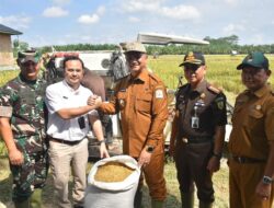 Bupati Armia Pahmi: Sergab Tingkatkan Kesejahteraan Petani