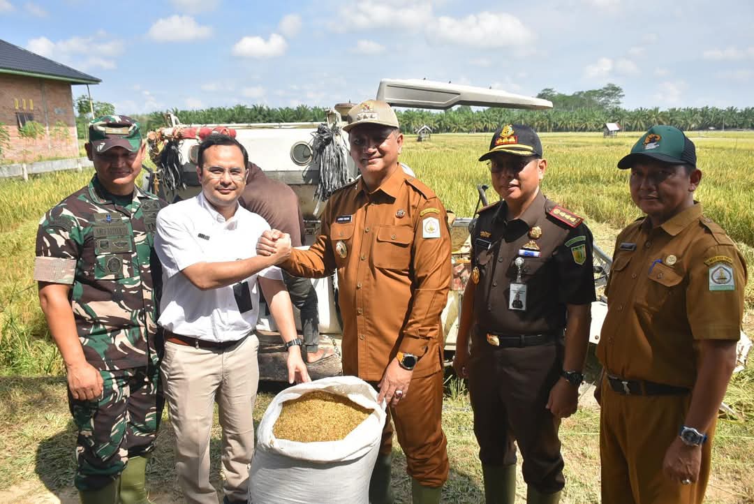 Bupati Aceh Tamiang, Irjen Pol (Purn) Armia Pahmi, MH saat meninjau langsung kegiatan serap gabah, Senin (10/3) di Kampung Air Tenang, Kecamatan Karang Baru. (Waspada/Yusri).