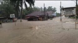 Tiga Desa Di Kecamatan Barumun Selatan Terendam Banjir