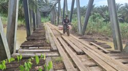 Warga melintasi jembatan yang nyaris ambruk di Rawa Pakis, untuk melansir logistik dari Peunaron Baru ke Sri Mulya, Kec. Peunaron, Kab. Aceh Timur, Rabu (12/3). Waspada/Muhammad Ishak