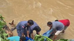 Pasca banjir Padangsdimpuan. warga temukan mayat pria di pinggir sungai Batang Angkola. (Waspada/Ist)