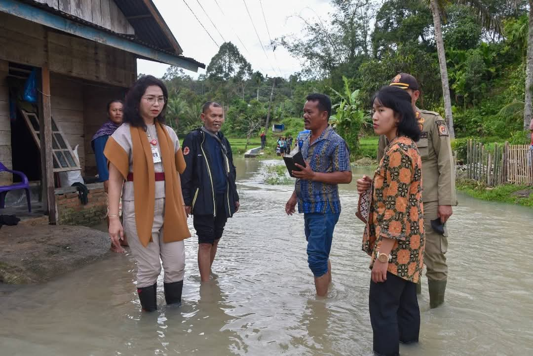 WAKIL Bupati Humbahas, Junita Rebekka Marbun saat meninjau longsor dan banjir di Pakkat. Waspada/Ist