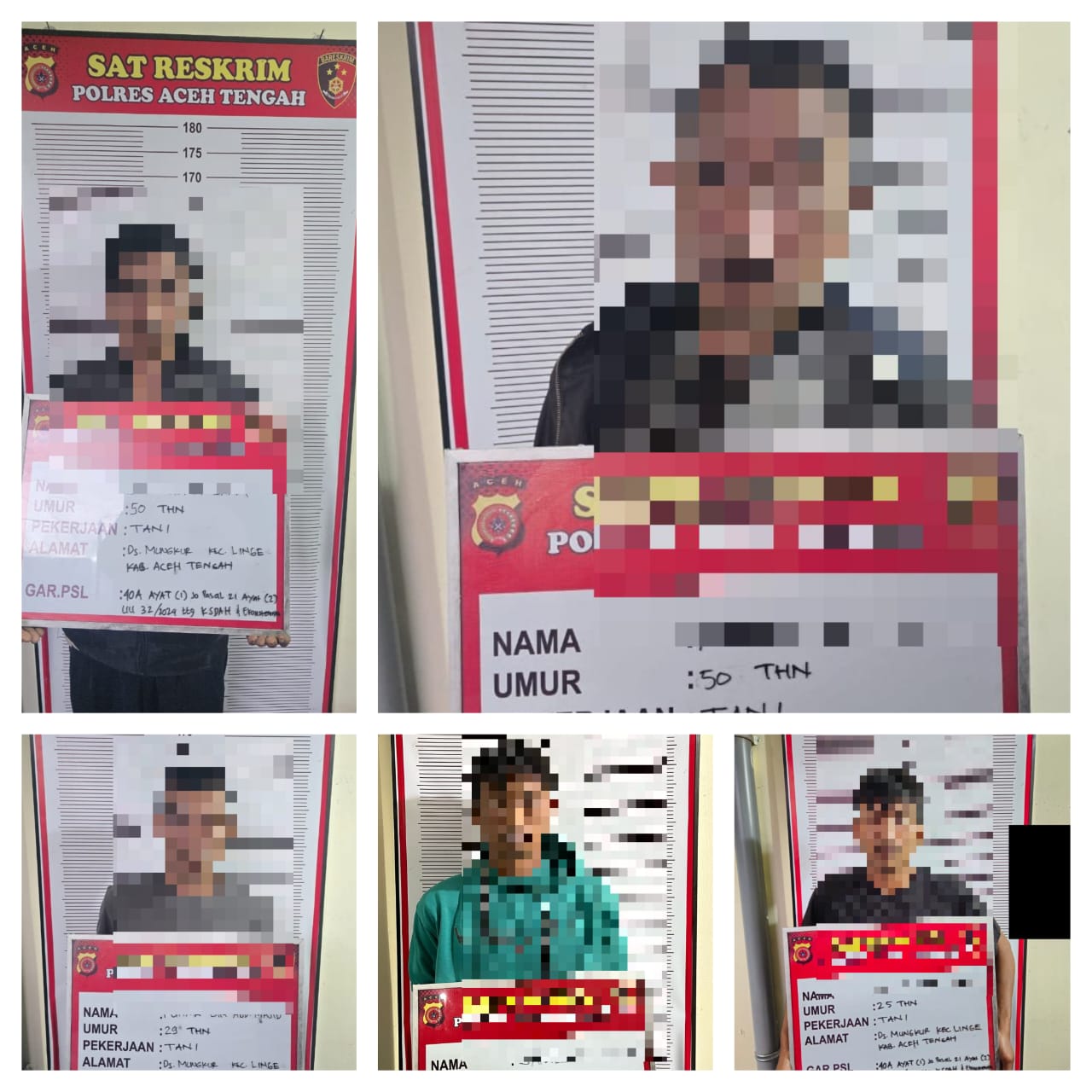 Polisi Gagalkan Perdagangan Kulit Harimau Di Aceh Tengah