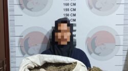 Polisi Tangkap Seorang Nenek Diduga Jual Ganja Di Bener Meriah