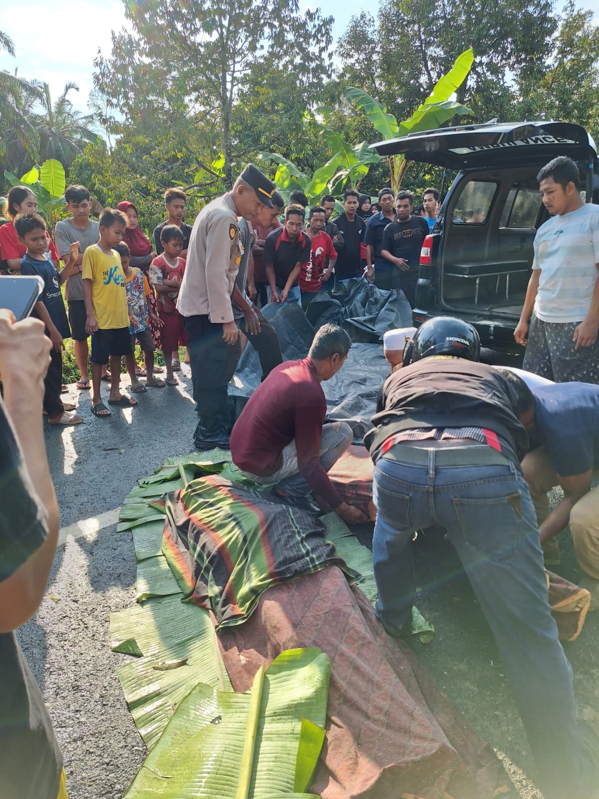 6 Pemancing Ditimpa Pohon, 2 Tewas dan 4 Luka-luka