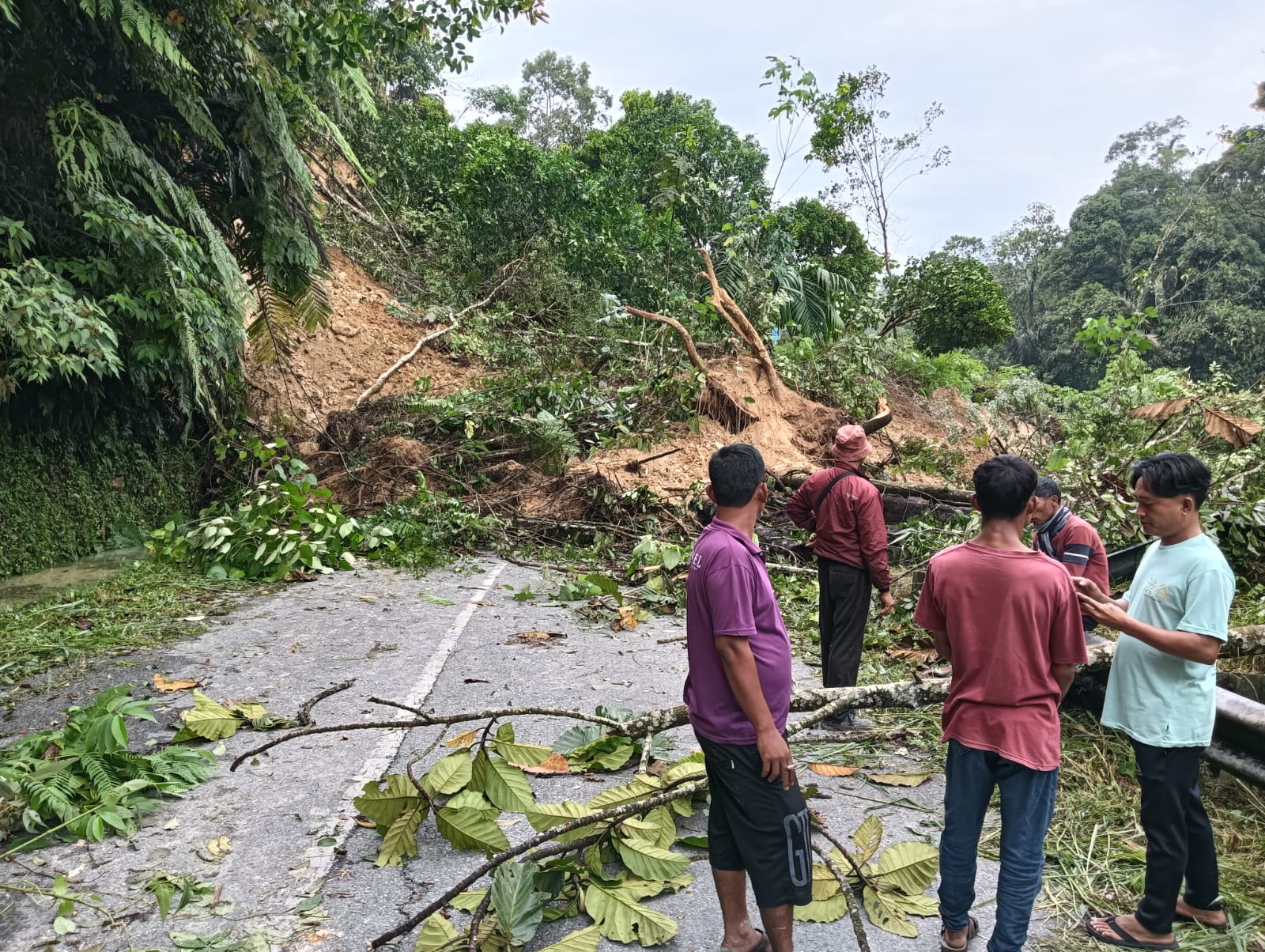 Foto Dampak Gempa Taput