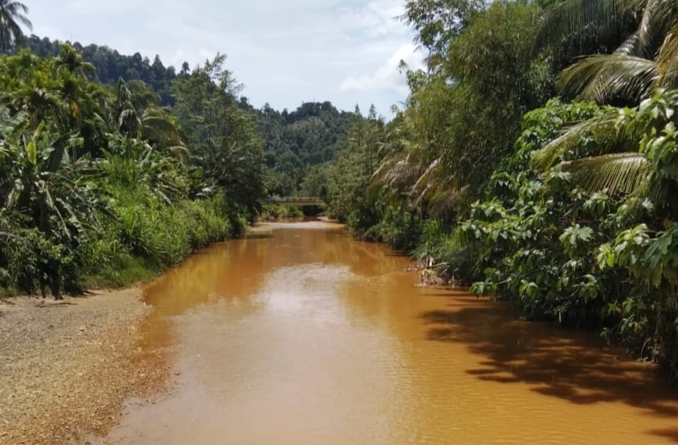 Diduga Dampak Aktivitas Tambang, Air Sungai Menggamat Menguning