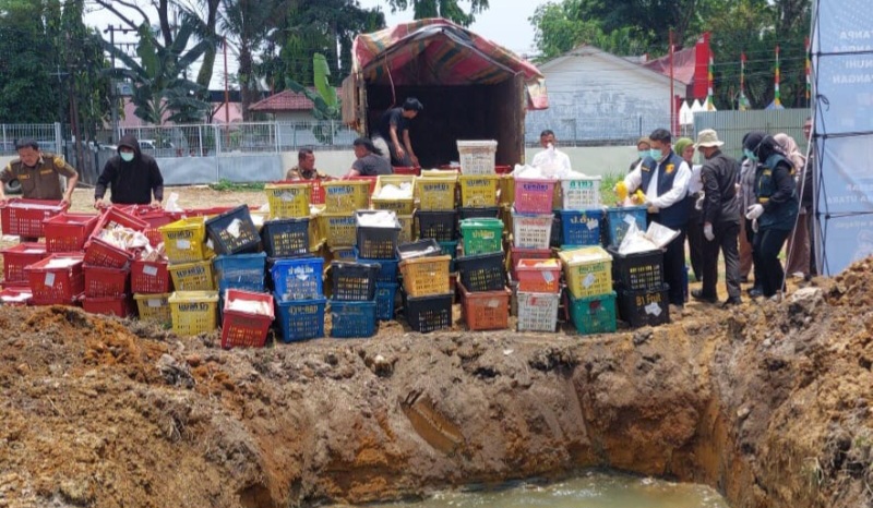 Buah mangga asal Thailand yang tidak memenuhi standar karantina dan keamanan pangan dimusnahkan, kemarin. Waspada/Ist