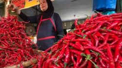 Harga Cabai Merah Lebih Mahal Dibandingkan Daging Sapi